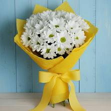 Букет цветов из:  Хризантемы в Молоково
