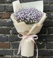 Букет цветов из:  Гипсофила в Молоково